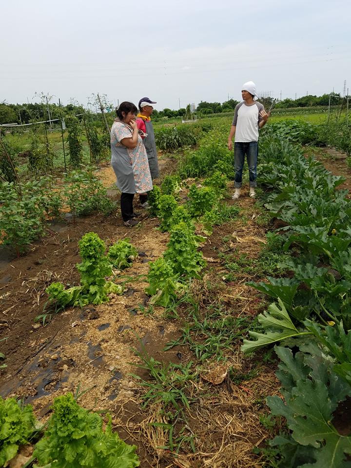 07 16 あきる野市で畑作業の手伝い トラクターも初運転 採れたての野菜を味わった 二丁目で働く社長の日記