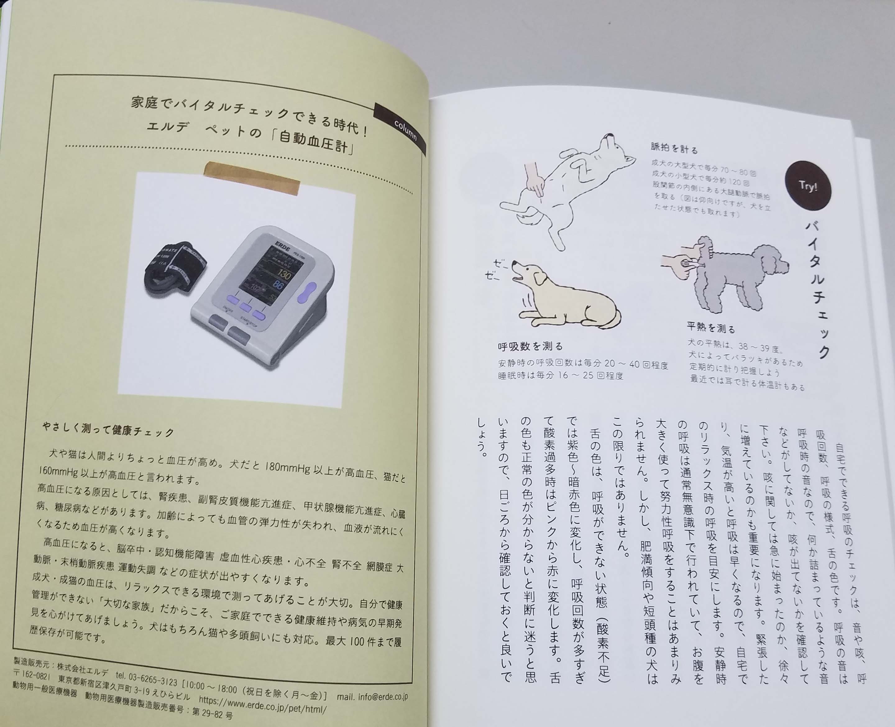10 18 犬の介護をゼロにする7つの習慣 二丁目で働く社長の日記 10 18 犬の介護をゼロにする7つの習慣 二丁目で働く社長の日記