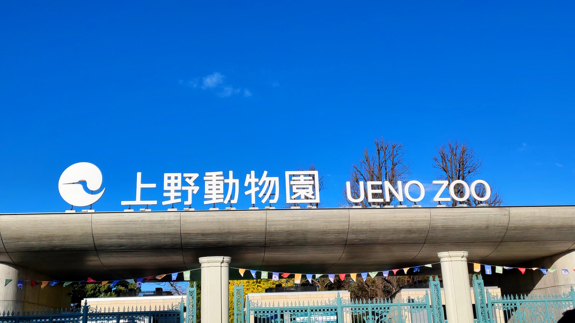 12 16 上野動物園でパンダを見てきた 二丁目で働く社長の日記