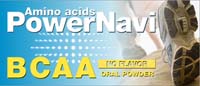 PowerNavi BCAA